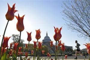 房租再贵也要去 盘点美大学毕业生最喜欢的城市