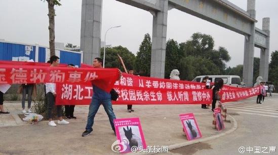 爱狗人士校门口示威