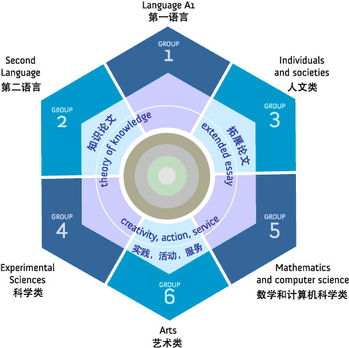 IB DP课程