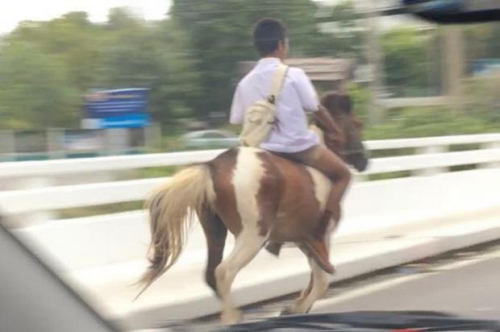 近日，泰国一名小男生穿校服骑马在路上奔跑的照片红遍网络。
