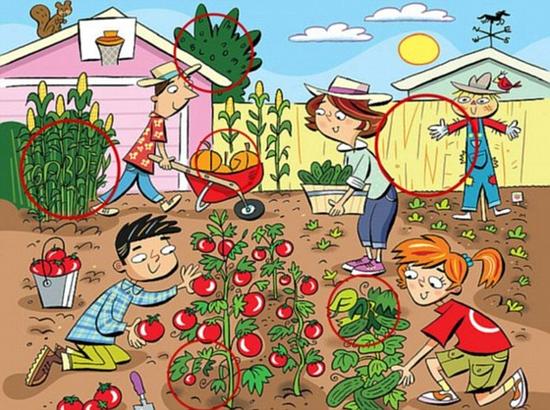 小游戏:找出图中隐藏的单词 宝宝能找全吗|少儿