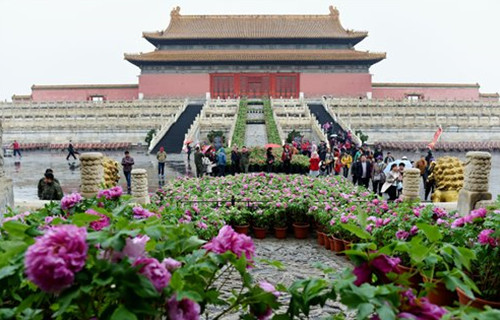 双语：故宫今年年内开放面积将增至76%