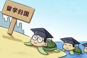 海归就业严峻倒逼准留学生提前规划