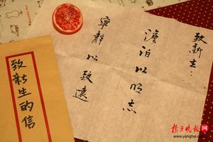 栖凤阁全国信息系统使用全攻略详解