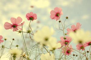 英语四六级_四六级成绩查询,真题,报名,考试时