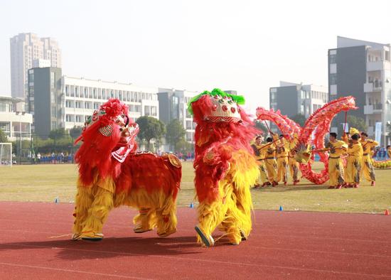 宁波创新青少年校园足球联赛模式(图)|校园足球