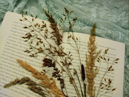 英语四级阅读高频场景词:工作篇|四级阅读|词汇