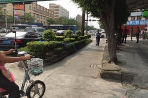 海归男子街头兜售大麻棒棒糖 被抓后反质问警察