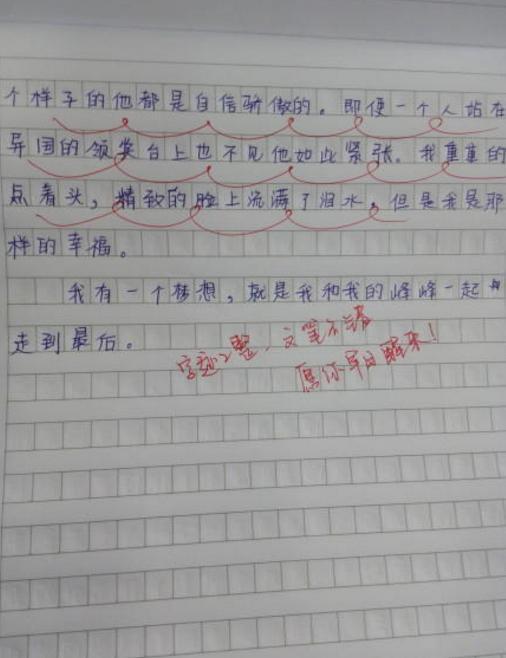 小学生写作文告白李易峰