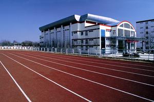 追踪海归在国内高校任教的那些“奇葩事”