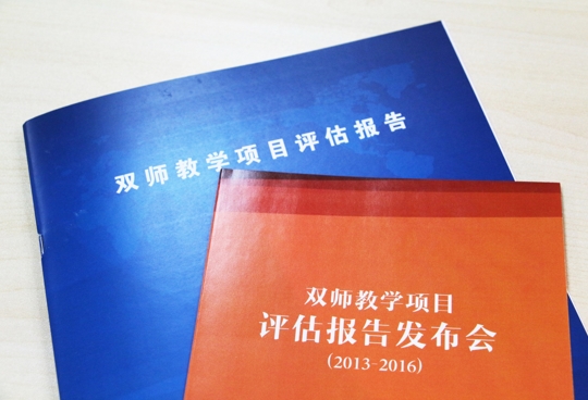 “双师教学”项目评估报告
