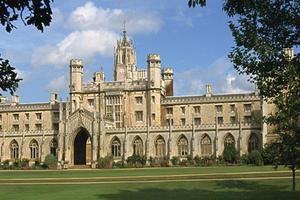 解救全球变暖：德国人工光合作用放大招