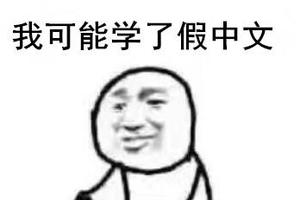 纽约高中中文试卷流出 中国网友自称学到假中文