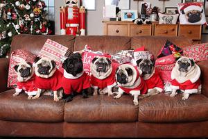 外媒盘点“重女轻男”专业 妹纸们的春天来了