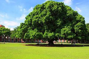 调查显示：台湾成功大学毕业生最受企业欢迎