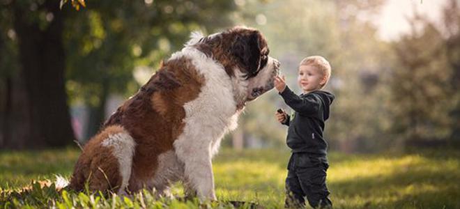 少儿英语频道_少儿英语培训 剑桥少儿英语 少