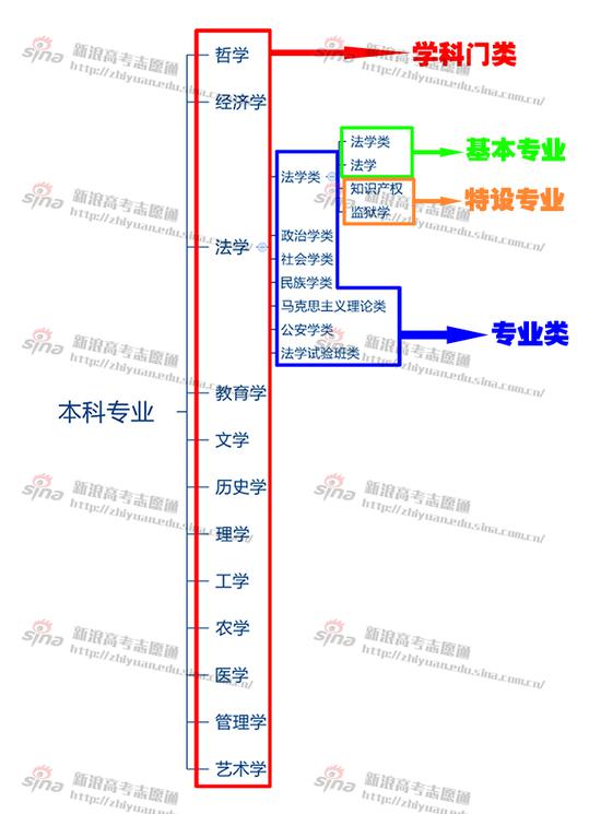 图1：学科大类、专业类与专业