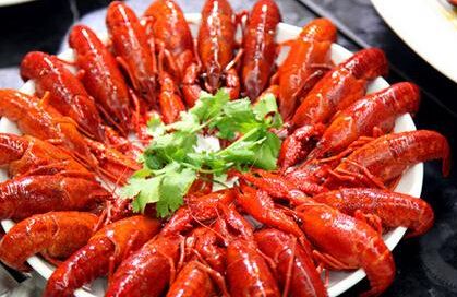 从小龙虾工程到中传电竞班 冷门专业还能走多