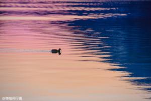 德国黑森州名校助你实力大增 炼成总统