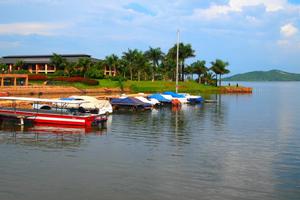 世界最拥挤小岛：不足半个足球场住进131人