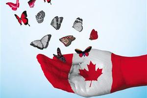 解读加拿大移民系列1：关于项目挑选