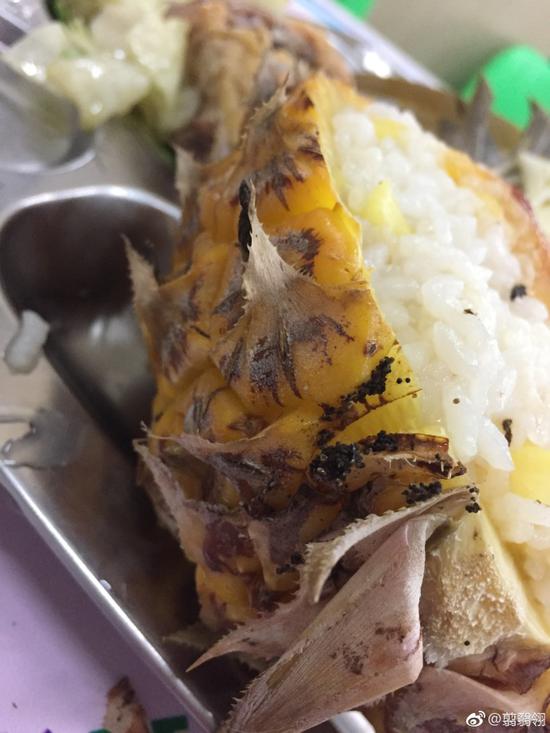 菠萝饭中足丝蚁