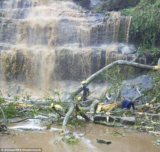 加纳瀑布景区大树倒塌 致20名高中生丧生