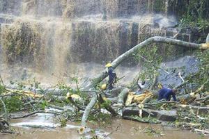 加纳瀑布景区大树倒塌 致20名高中生丧生