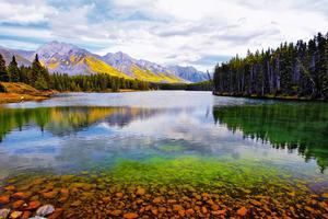 加拿大投资移民名额开放 加凯移民配额现场发布