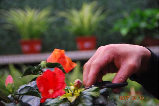 方晨曦小朋友作品