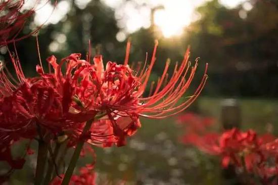 图片来源：南京工业大学