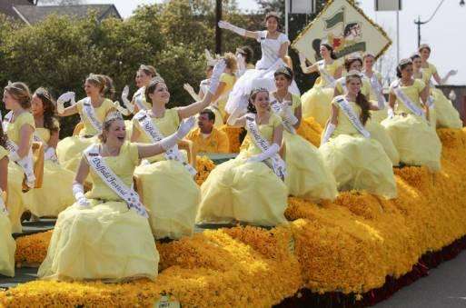 华盛顿州的Daffodil Parade