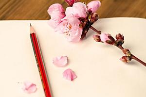 当英文老师遇上中文老师 这画面太美百看不厌