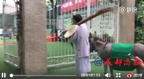 图片来源：成都商报微博视频截图