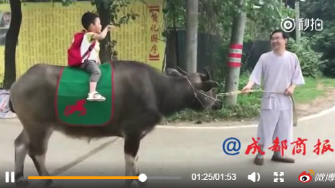 图片来源：成都商报微博视频截图