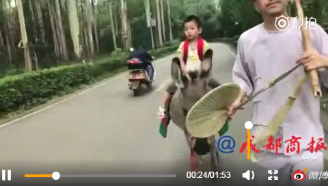 图片来源：成都商报微博视频截图