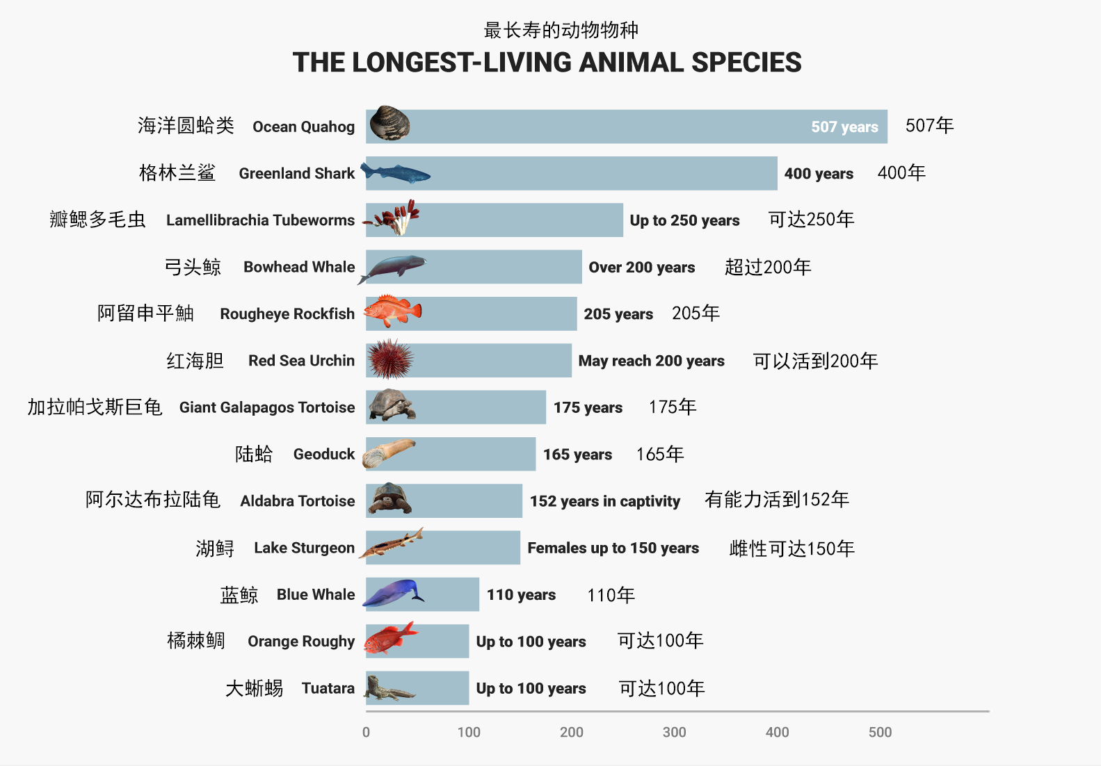 来源:沪江英语