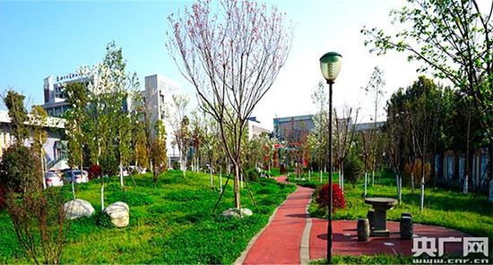 四川一高校拟将校园打造成国家3A级旅游景区