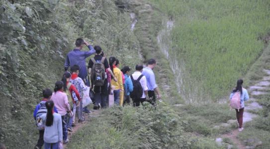 图片来源于网络与本文无关