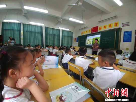 江西首批“中医药实验班”的小学一年级学生正在学习“中医药的起源”。 记者 华山 摄