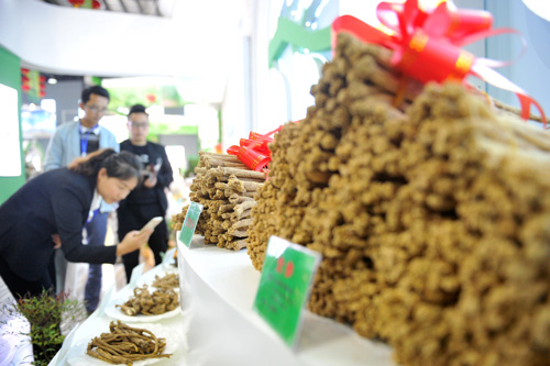 资料图:2017甘肃省中医药产业博览会开幕,观众在药博会上的中药材产品展区参观。新华社记者 郭刚 摄