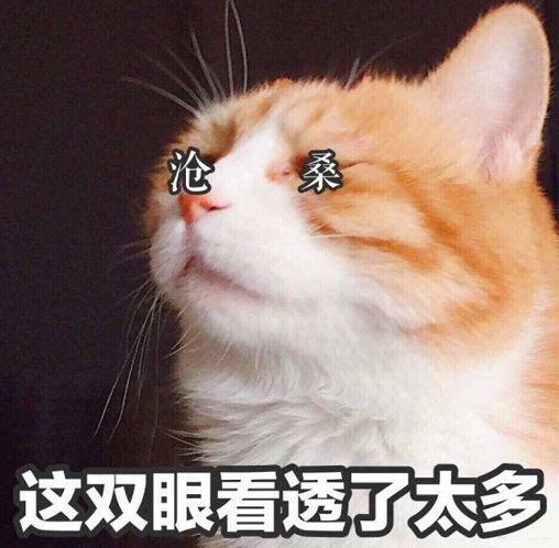 反对方:孩子的世界观是单纯的