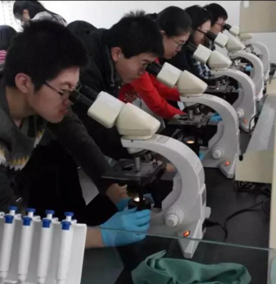 整科学生在实验室