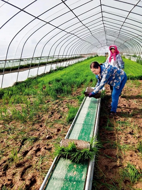 2022-2023学年徐州市鼓楼区五年级下学期期中数学试卷（含答案解析）