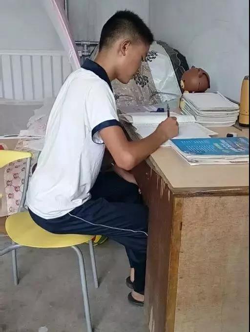 王心仪的大弟弟,成绩和她同样优秀