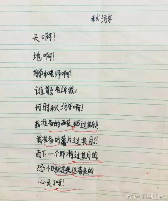 “台风爷爷让我作业飞走”这些小学生的诗火了