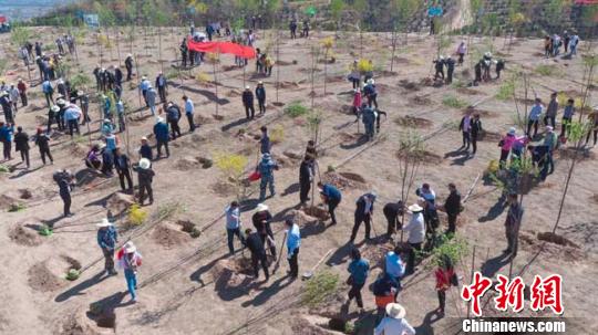 4月17日，兰州榆中县组织干部职工与兰州大学青年志愿者等一起，在榆中生态创新城兰州大学萃英山义务植树点开展义务植树活动。　魏涛　摄