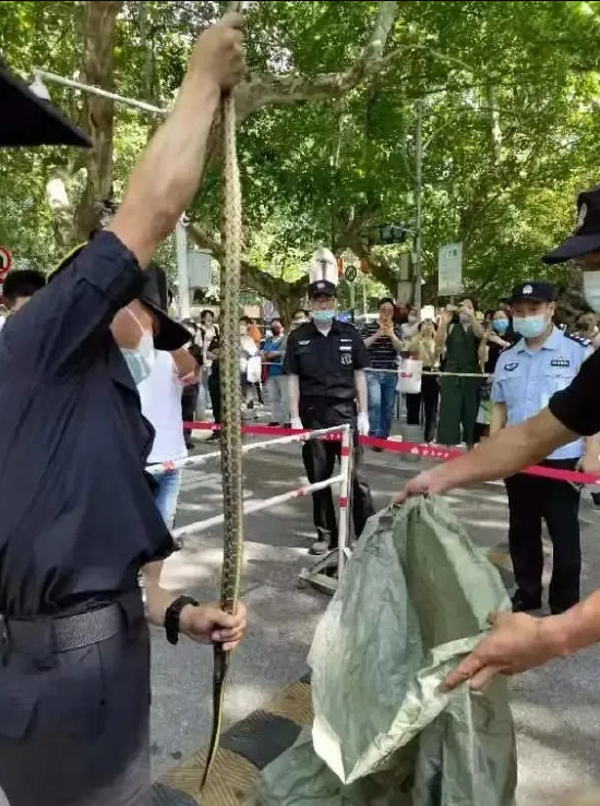 图片来自网络