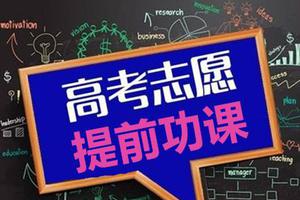 花钱找报考专家不理智? 和孩子的前途比算什么