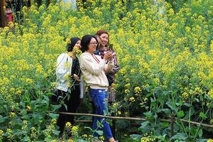 川美春意盎然 吸引众多市民前来参观(图)